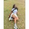 Rithu - escort in Colombo Photo 4 of 9