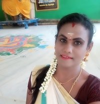 Rithvika Shemale - Transsexual escort in Chennai