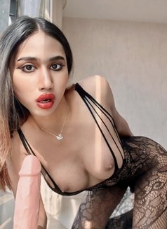 Ritta new in Bahrain from Thailand - Transsexual escort in Al Manama Photo 10 of 16
