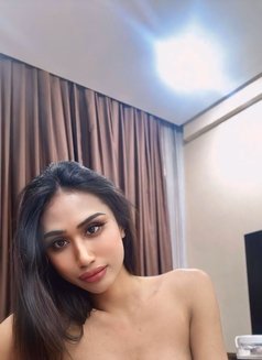 Ritta new in Bahrain from Thailand - Transsexual escort in Al Manama Photo 13 of 16