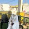 Ritu - escort in Varanasi