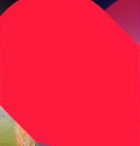 Riya(meet or Cam Show) - escort in Pune