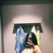 Riya Real Meet Genuine Service - puta in Pune Photo 4 of 6