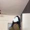 Riya Real Meet - escort in Chennai Photo 1 of 8