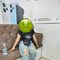 Riya Sharma - escort in Dehradun, Uttarakhand