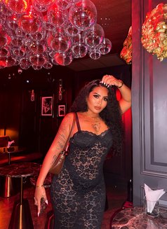 RIYA PHUKET 🇹🇭 - escort in Phuket Photo 13 of 18