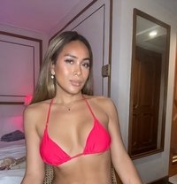 Rob3rta Foxx (Camshow Only) - Transsexual escort in Chennai
