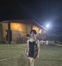 Robert - Transsexual escort in Nice Photo 1 of 8
