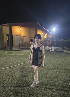 Robert - Transsexual escort in Nice Photo 1 of 8