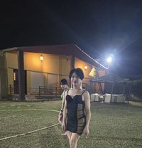 Robert - Transsexual escort in Nice