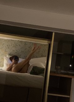 Robert - Acompañantes transexual in Nice Photo 14 of 14