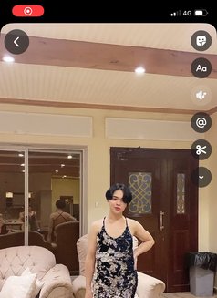 Robi - Transsexual escort in Nice Photo 1 of 9