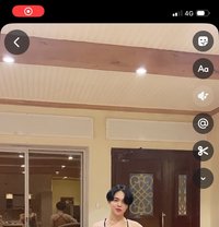 Robi - Transsexual escort in Nice