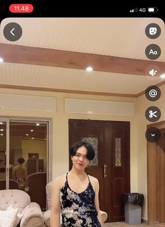 Robi - Transsexual escort in Nice Photo 9 of 9
