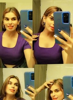 Rochelle fullservice available cam ava - Transsexual escort in Colombo Photo 5 of 20