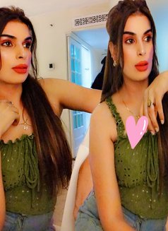 Rochl❤ full service available cam ser - Acompañantes transexual in Colombo Photo 7 of 30