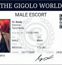 Rocky - Intérprete masculino de adultos in Chennai