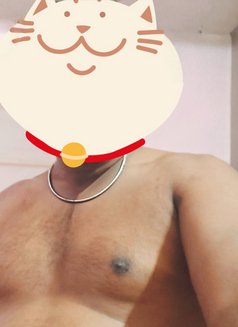 Rocky Bhai - Male adult performer in Chennai Photo 2 of 6