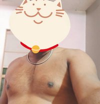 Call Boy/Male Escort service Available - Male escort in Chennai