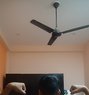 Rohan - Male escort in New Delhi Photo 1 of 1