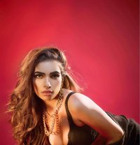 Horney Cats Hot Dream Hub - puta in Candolim, Goa