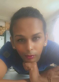 Roja🥀 cam service available - Acompañantes transexual in Colombo Photo 20 of 21