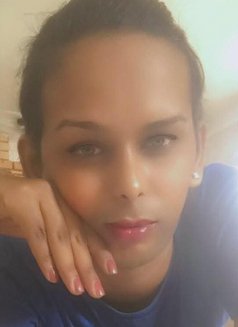 Roja🥀 cam service available - Acompañantes transexual in Colombo Photo 21 of 21