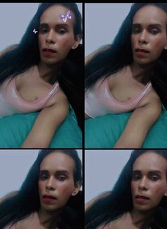 mysteries&slave& ServiceAvailabl for - Transsexual escort in Colombo Photo 17 of 25