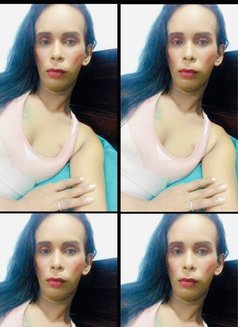 mysteries&slave& ServiceAvailabl for - Transsexual escort in Colombo Photo 18 of 25