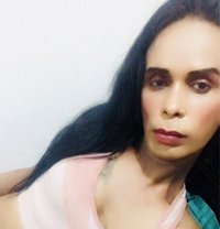 Roja🥀 cam service available - Transsexual escort in Colombo