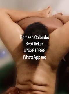 Roma Colombo Bull - Male escort in Colombo Photo 2 of 4