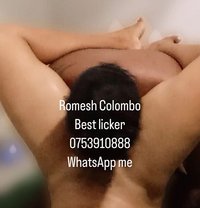 Roma Colombo Bull - Male escort in Colombo
