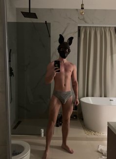 Roma Din - Male escort in Dubai Photo 1 of 8