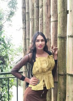 Romantic Queen - Acompañantes transexual in Chennai Photo 4 of 5