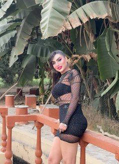 Romantic Sex - escort in Al Sohar Photo 5 of 6