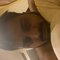 Romeo - Male escort in New Delhi
