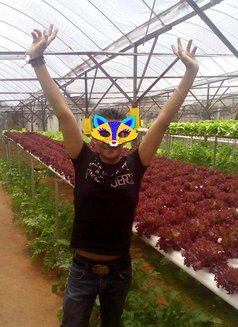 Romeo - Acompañantes masculino in Colombo Photo 5 of 5