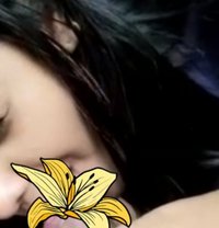 Romeo - Male adult performer in Colombo