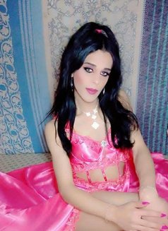 Roro. Klink - Transsexual escort in Beirut Photo 11 of 17