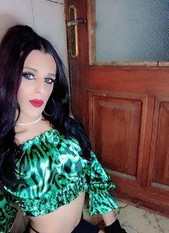 Roro. Klink - Transsexual escort in Beirut Photo 15 of 17