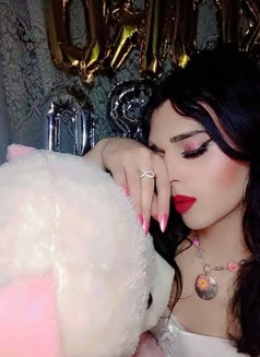Roro. Klink - Transsexual escort in Beirut Photo 17 of 17