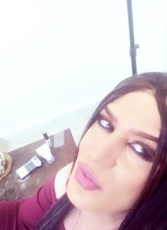 Roro - Transsexual dominatrix in Beirut Photo 10 of 12