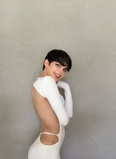 Roro lebanon big dick لبنانية 🇱🇧 - Transsexual escort in Riyadh Photo 18 of 30