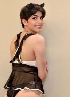 Roro lebanon big dick لبنانية 🇱🇧 - Transsexual escort in Riyadh Photo 3 of 30