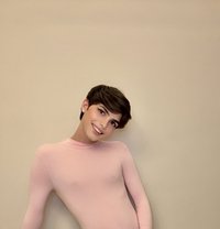 Roro lebanon big dick - Transsexual escort in Riyadh
