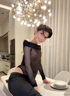 Roro lebanon big dick لبنانية 🇱🇧 - Transsexual escort in Riyadh Photo 26 of 26