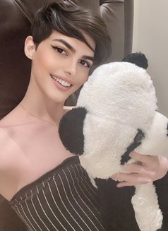 Roro lebanon big dick لبنانية 🇱🇧 - Acompañantes transexual in Riyadh Photo 30 of 30