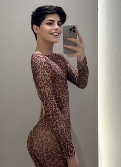 Roro lebanon big dick لبنانية 🇱🇧 - Transsexual escort in Riyadh Photo 30 of 30