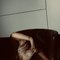 Rosa kity - escort in Alexandria
