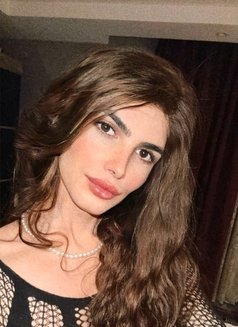 Rosarita - Transsexual escort in Riyadh Photo 11 of 13